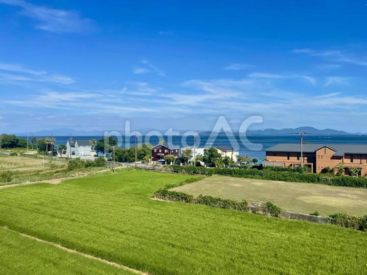 大津市北小松の湖岸風景 琵琶湖,湖西,湖岸の写真素材
