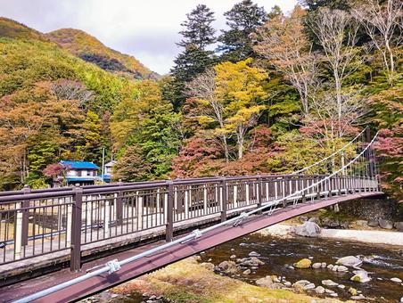 紅の吊り橋の秋 塩原温泉,紅の吊り橋,紅葉の写真素材