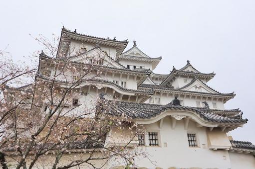 姫路城 姫路城 姫路城,石垣,背景の写真素材