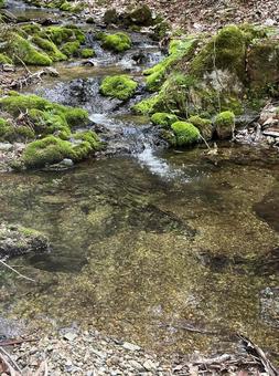 川の上流 川の上流 川,湧水,上流の写真素材