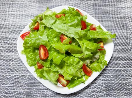 野菜サラダ 野菜サラダ サラダ,野菜,前菜の写真素材