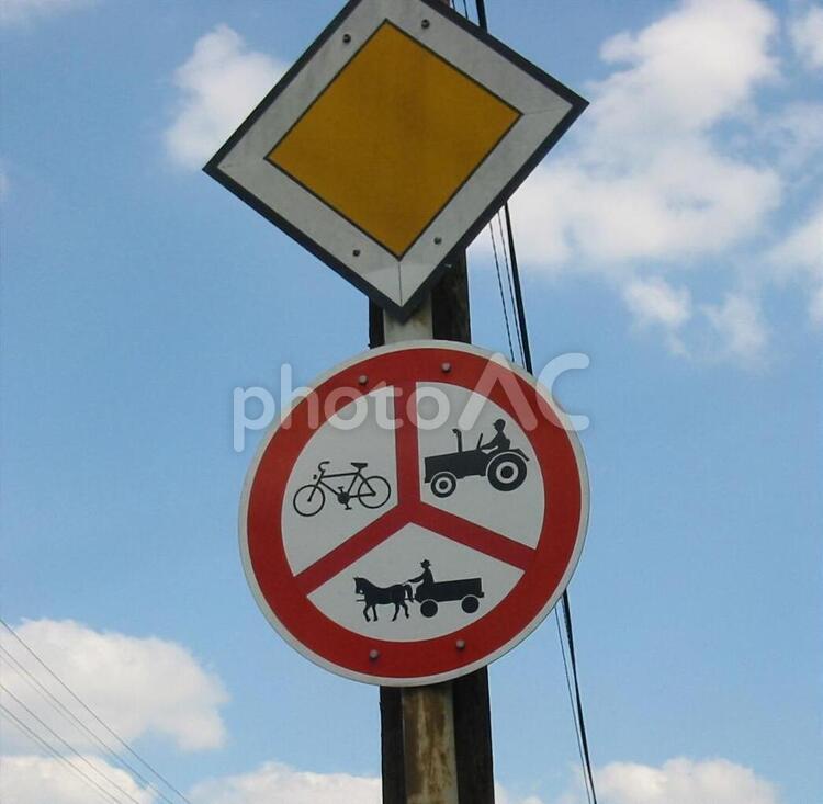 外国の道路標識 道路標識,標識,速度の写真素材