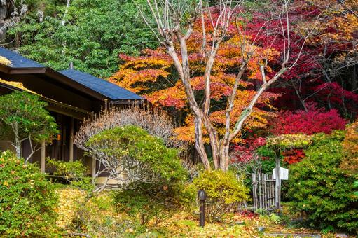 黄金山神社⑿ 神社,黄金山神社,神社仏閣の写真素材