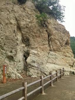 仙酔島 仙酔島の写真