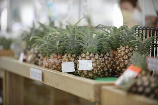 パイナップル パイナップル 果物,農産物,イメージの写真素材