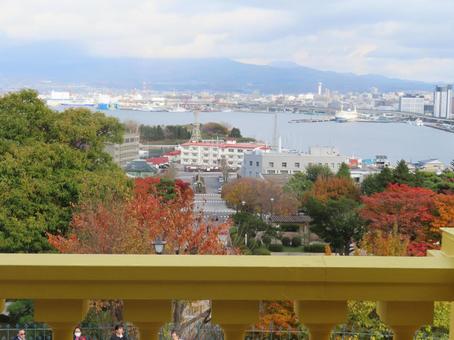旧函館公会堂から見る　函館湾と自然 １１月,秋,旧函館公会堂の写真素材