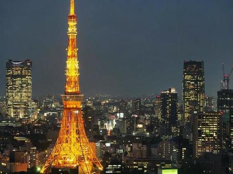 東京タワー 東京タワーの写真