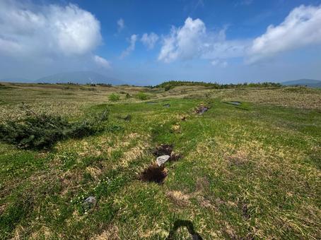 弥陀ヶ原にあるガキの田 弥陀ヶ原にあるガキの田の写真