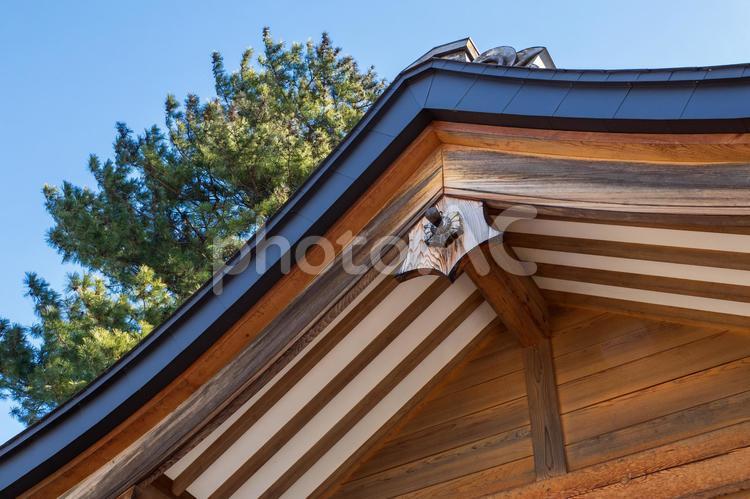 諏訪神社⒀ 神社,諏訪神社,神社仏閣の写真素材