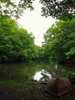 大沼公園周辺 01 200906 大沼公園周辺 01 200906の写真