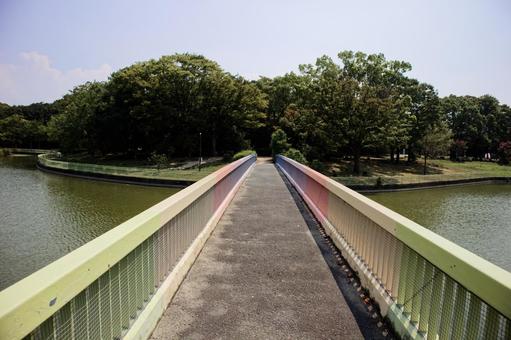 一本道 一本道の写真