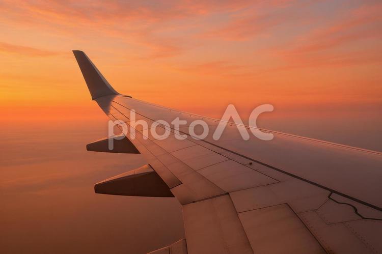 夕焼け空と飛行機の翼 飛行機,翼,夕焼けの写真素材