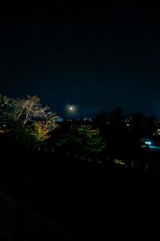 【島根】松江城からの夜景 松江,島根,松江城の写真素材
