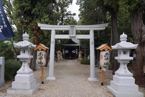 パワースポット 市杵島姫神社① 鳥居 パワースポット 市杵島姫神社① 鳥居の写真