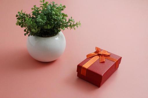 贈り物と観葉植物 贈り物と観葉植物 贈り物,ギフトボックス,リボンの写真素材
