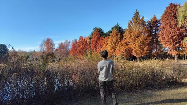 ぼーっとするおじさん 113 おじさん,男性,後ろ姿の写真素材