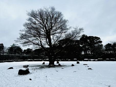 雪景色 雪景色,雪解け,雪の写真素材