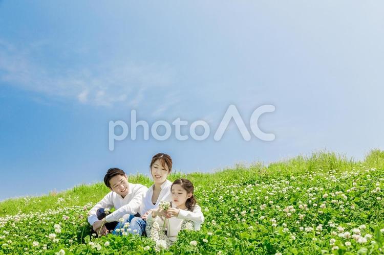 土手に座る家族（シロツメクサ） 人物,家族,女性の写真素材