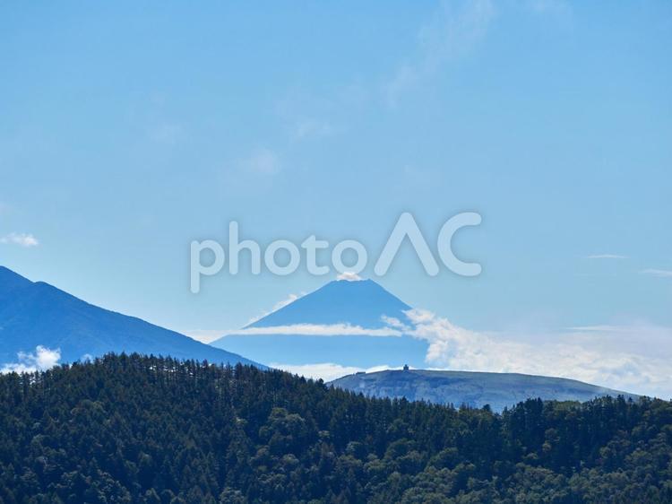 秋、美ヶ原から見る富士山 秋,美ヶ原,富士山の写真素材