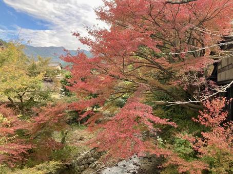 秋月の紅葉・黄葉（横） 福岡県朝倉市秋月,紅葉,黄葉の写真素材