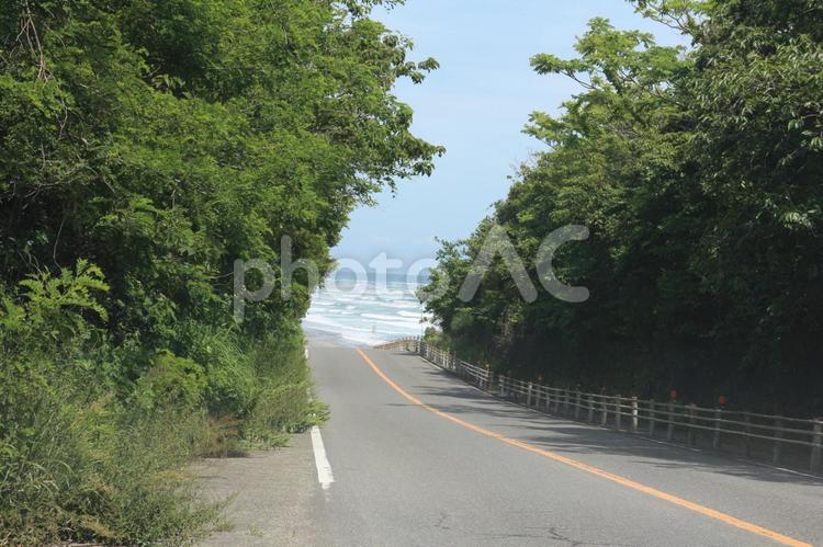 海が見えた！御前崎への道 御前崎,海,道路の写真素材