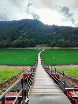 湖に続く道 湖に続く道 湖,湖畔,風景の写真素材
