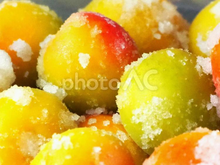 完熟梅で梅干し作り／塩をまぶす 梅,梅干し作り,完熟梅の写真素材