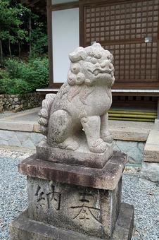 パワースポット宝塚市　皇太神社⑰狛犬吽形 パワースポット,宝塚市川面,皇太神社の写真素材