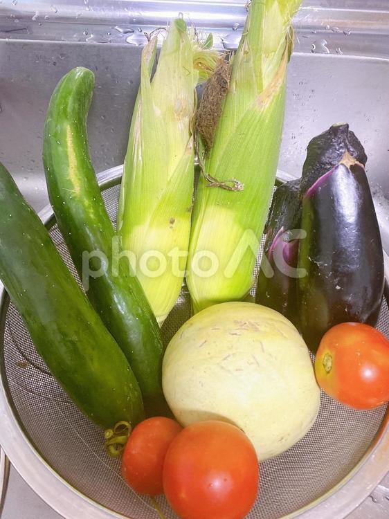 朝採り夏野菜 夏野菜,トマト,きゅうりの写真素材