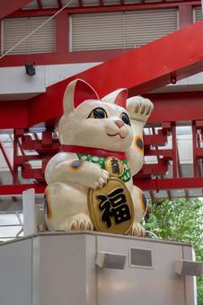 大須商店街の招き猫 招き猫,大須,商店街の写真素材