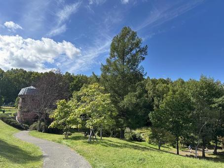 秋の公園散歩 秋の公園散歩の写真