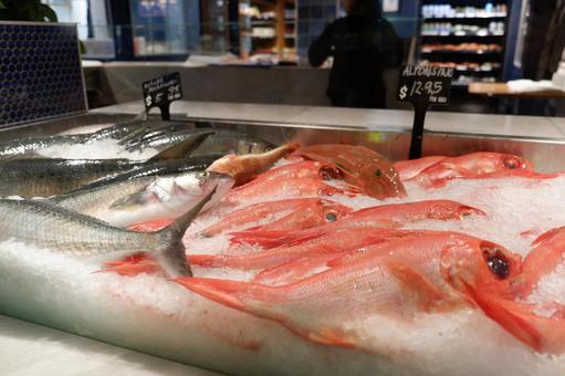 魚市場 魚市場の写真