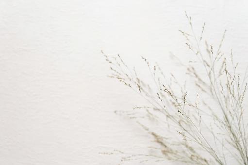 バニカム 左空け バニカム 左空けの写真