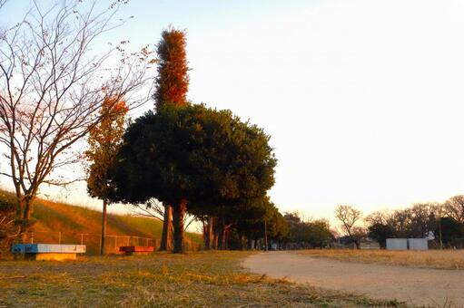 夕方の公園（トラック） グラウンド,夕方,バックネットの写真素材