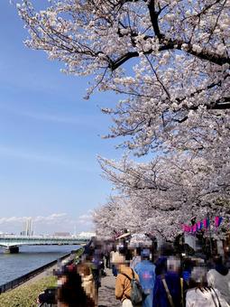 東京風景・隅田川 隅田川,水面,水の写真素材