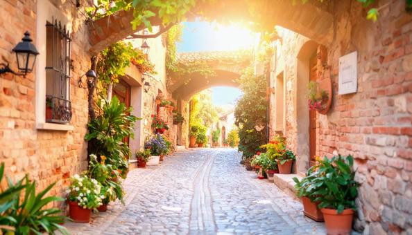 陽光きらめく石畳の裏路地 陽光きらめく石畳の裏路地の写真