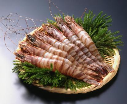 有頭えび 有頭えび 有頭えび,魚介類,水産物の写真素材