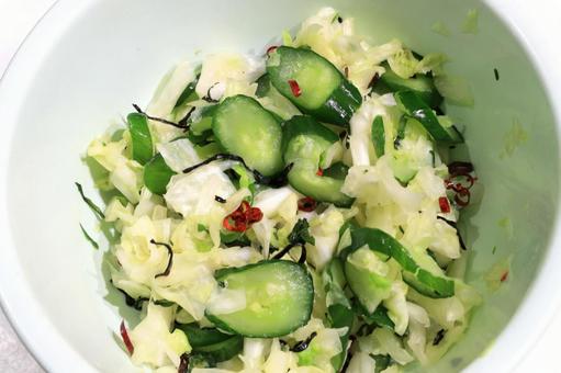 Photo, shallow pickles, cabbage, cucumber, 