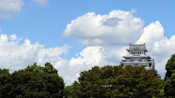 姫路城 姫路城の写真