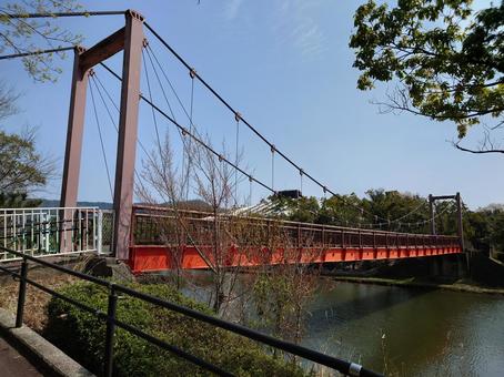 吊り橋 吊り橋 吊り橋,橋,観光の写真素材
