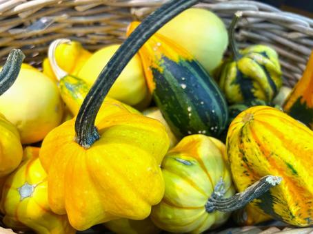 かぼちゃ かぼちゃ かぼちゃ,ハロウィン,大小の写真素材