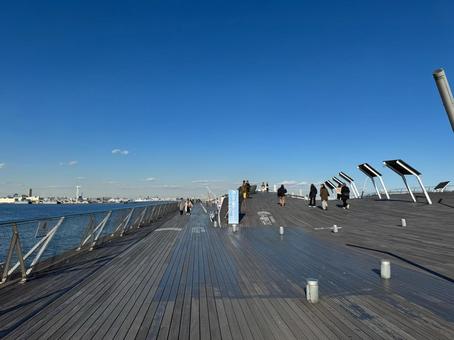 晴れた日の横浜大さん橋 晴れた日の横浜大さん橋 横浜,大さん橋,横浜大さん橋の写真素材