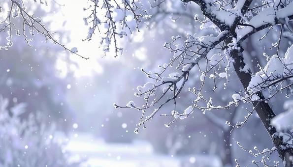 雪のつもる枝がきらめく 冬の風景 雪のつもる枝がきらめく 冬の風景の写真