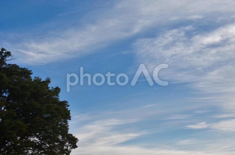 秋空のイメージ 秋空,空,青空の写真素材