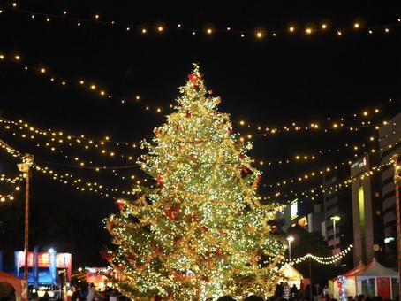 クリスマスツリーライトアップ クリスマスツリーライトアップの写真