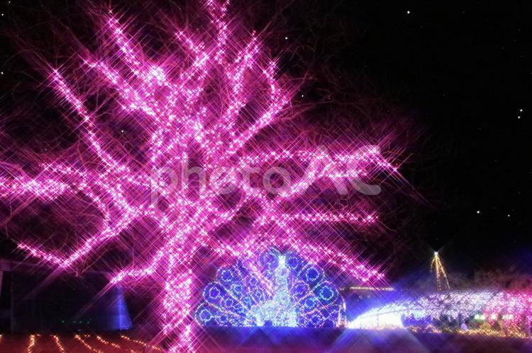煌めく星空と冬のイルミネーション　合成 クリスマス,イルミネーション,夜景の写真素材