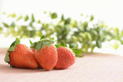 いちご いちご,美容,フルーツの写真素材