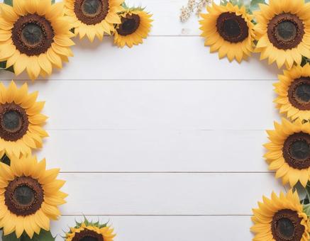 ひまわりの花で囲まれた白い木目調背景 ひまわりの花で囲まれた白い木目調背景の写真