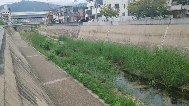 都賀川 都賀川,神戸市,神戸市灘区の写真素材
