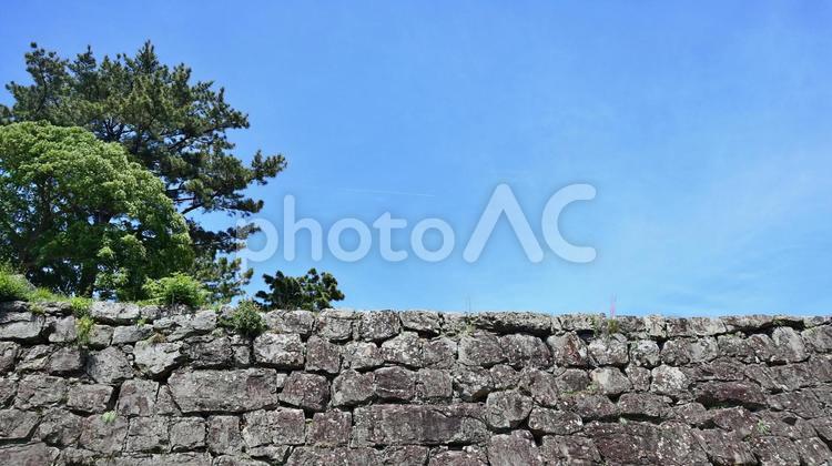 和歌山城、青空の下の歴史ある石垣 青空の下の石垣,歴史ある石垣,和歌山城の写真素材